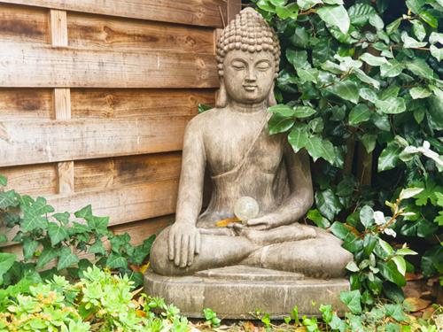 benh thuong gap cua nguoi hoc Phat sai sach